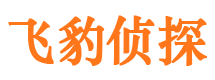 句容市调查公司